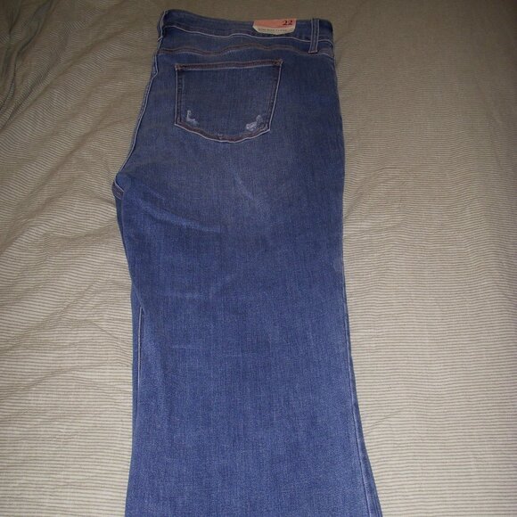 Arula Plus Size Jeans - Picture 2 of 4